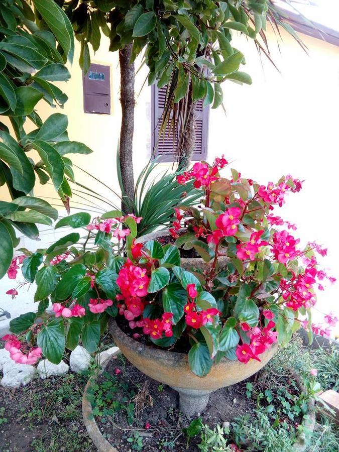 Beb Da Tina Bed and Breakfast Roccasecca Buitenkant foto